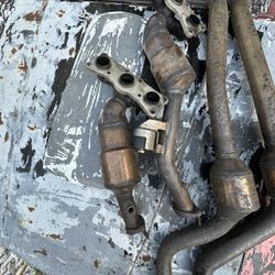 N52 Primary/secondary Cats