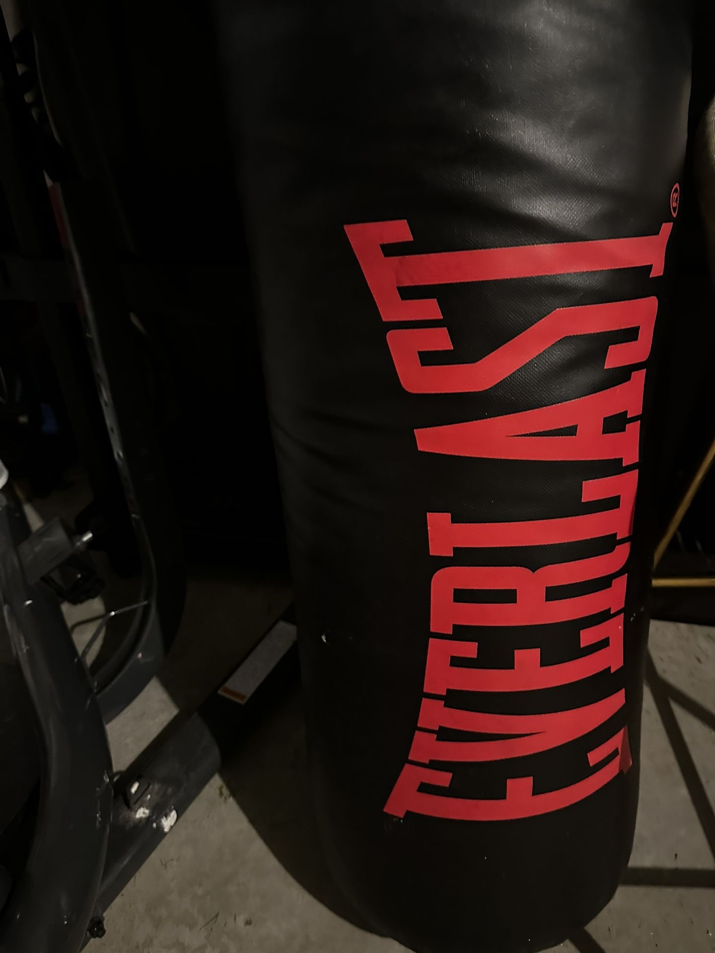 Everlast Punching Bag With Stand
