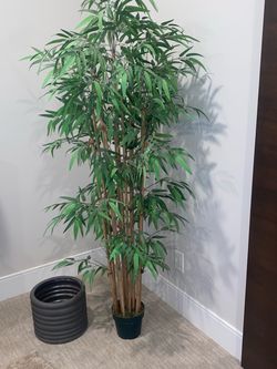 Artificial Large Bamboo Plant 6’ Potted in Black Plastic Container.
