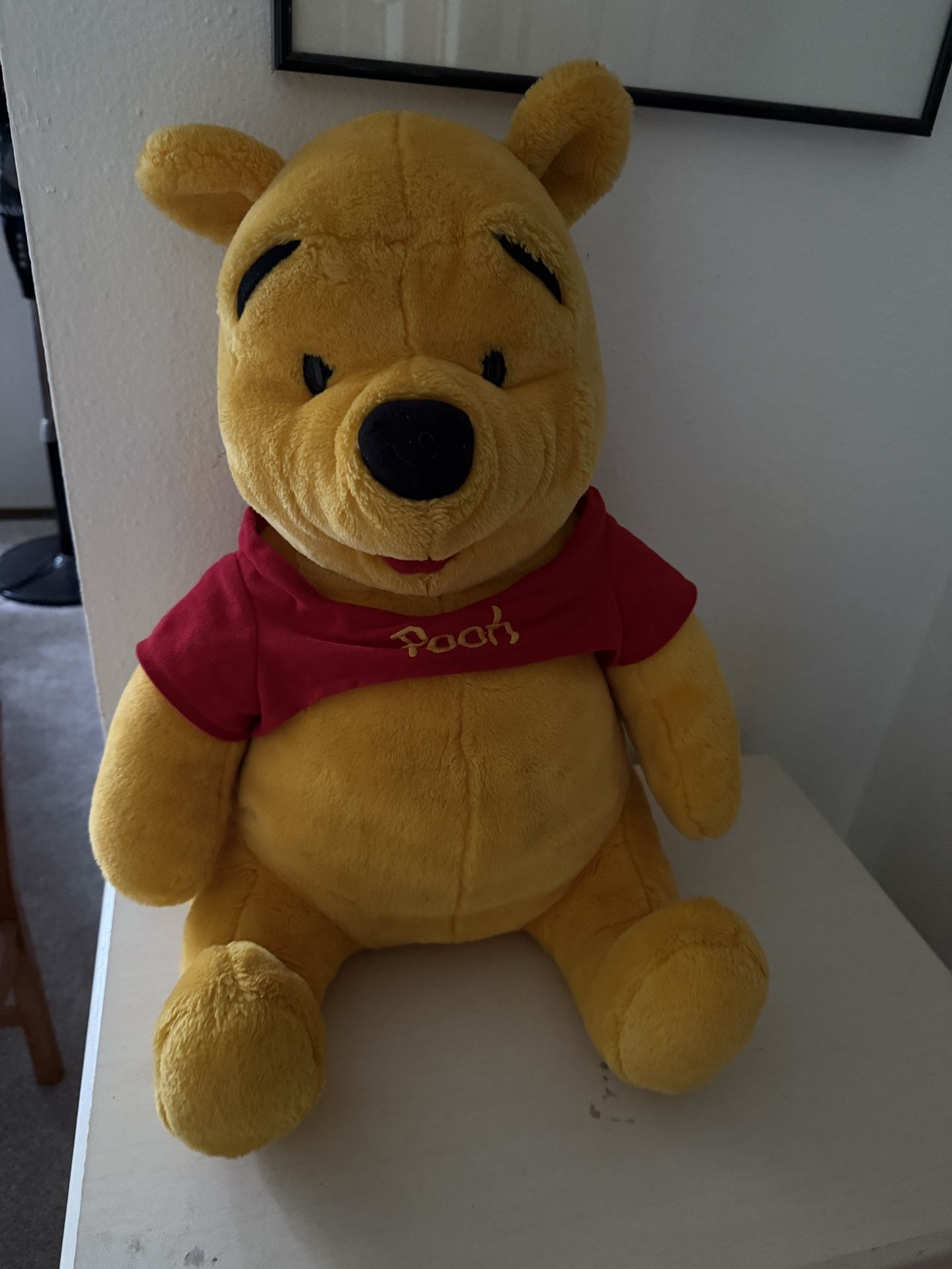 Winnie The Pooh-18”
