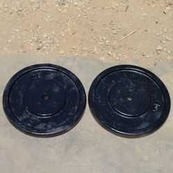 Weights 2x50lbs 1in Hole