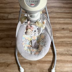 Baby Swing