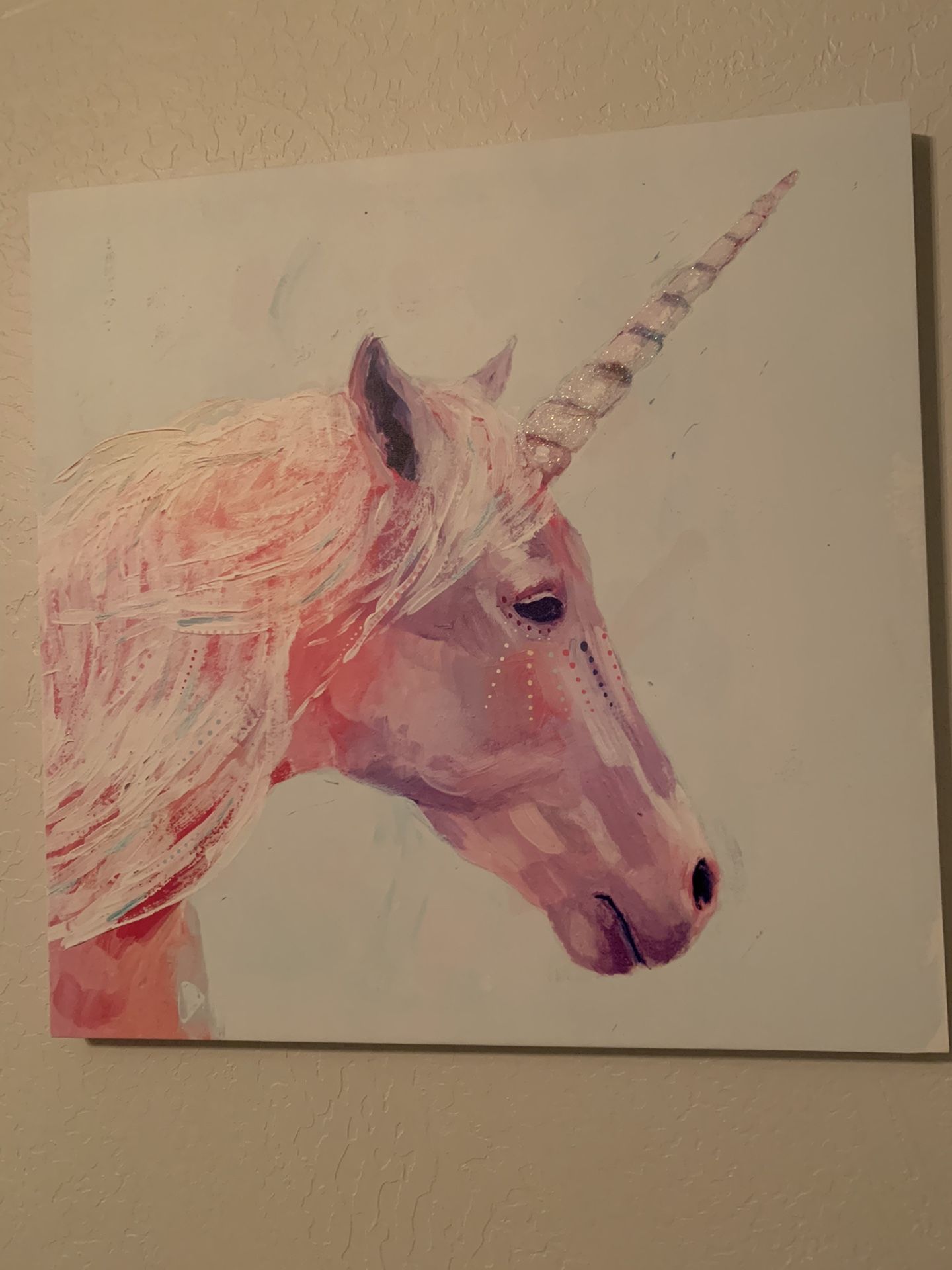 Unicorn Print On Canvas