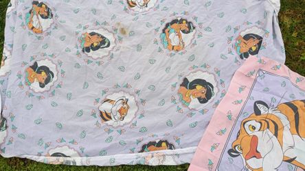 Sheet Twin Size 2 Pillow Cases 