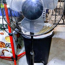 Oscillating Fan 