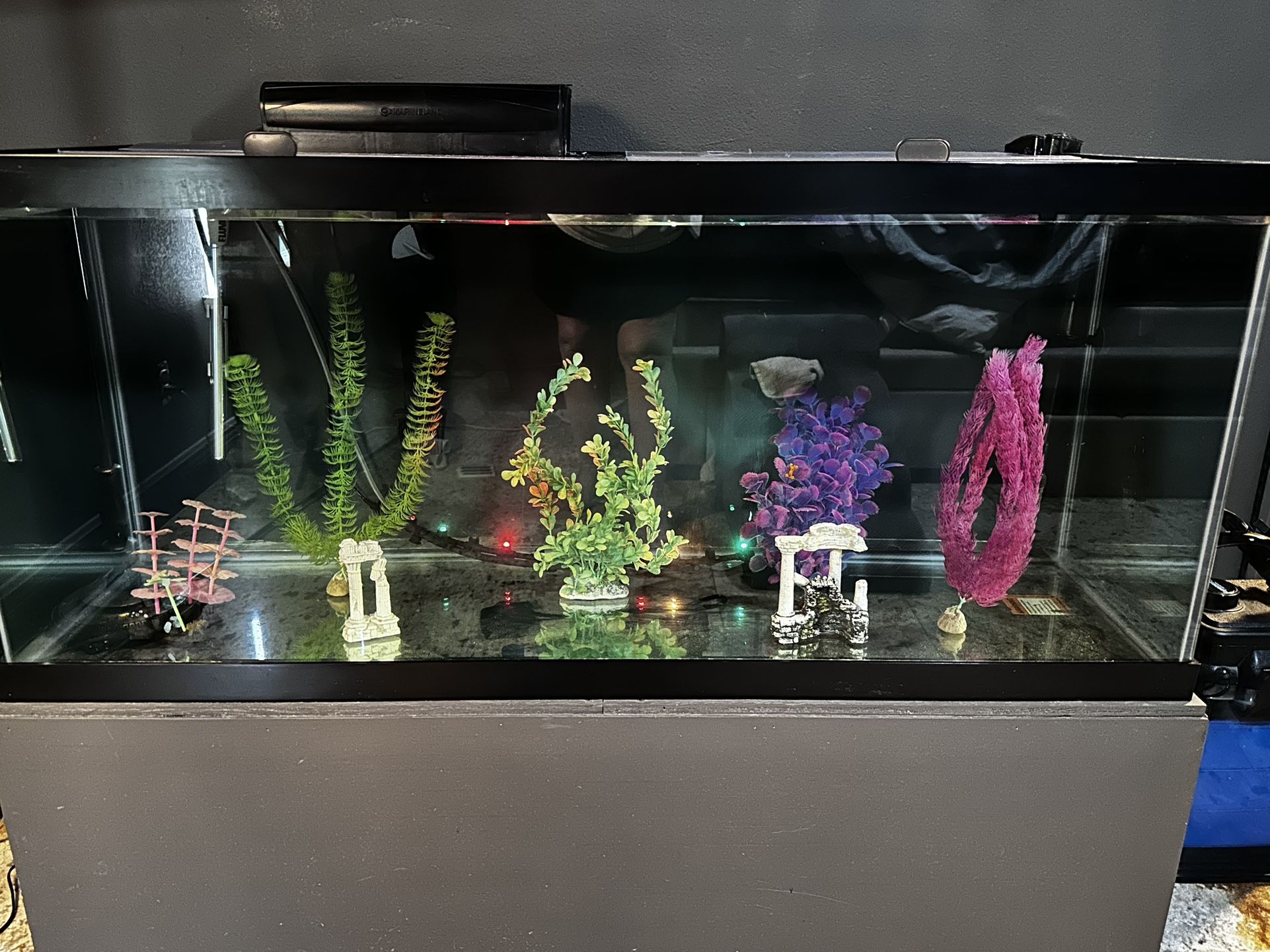 75 Gal Fish Tank Aquarium With Stand