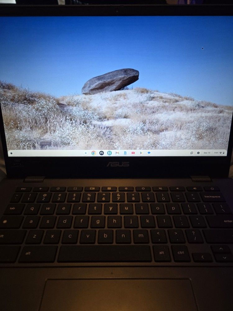 Asus Chromebook