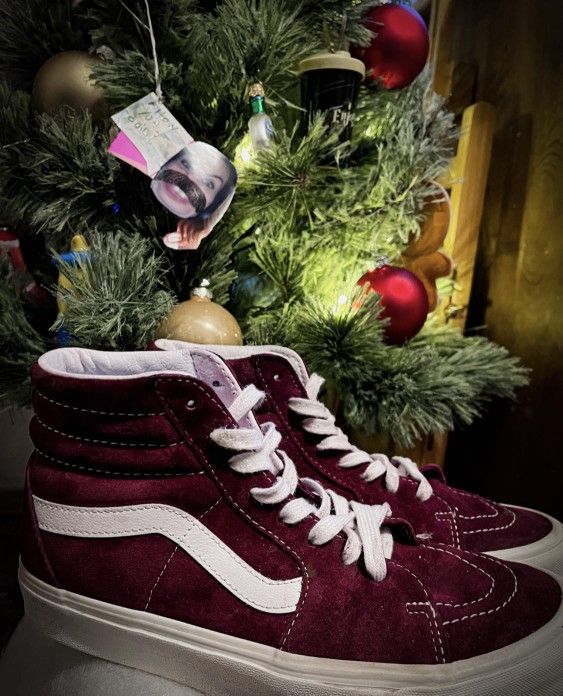 Burgundy Suede High Top Vans