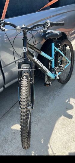 Beautiful womans bicycle