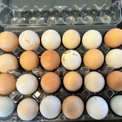 Fresh Eggs 