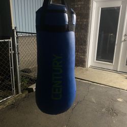 15 Pound Punching Bag