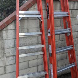 6' Foot Ladder 