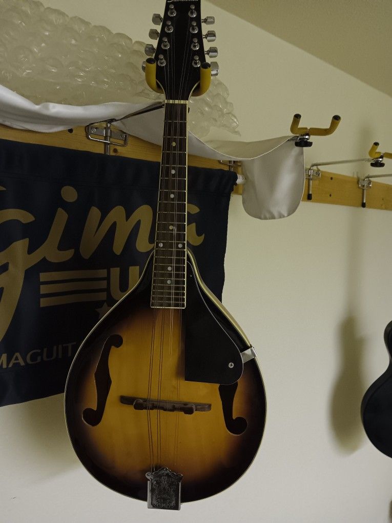 Savannah Model SA 120 Mandolin