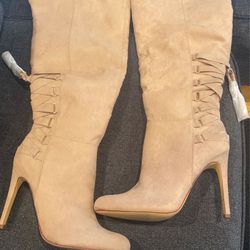 Knee High Taupe 9.5 Heel Boots