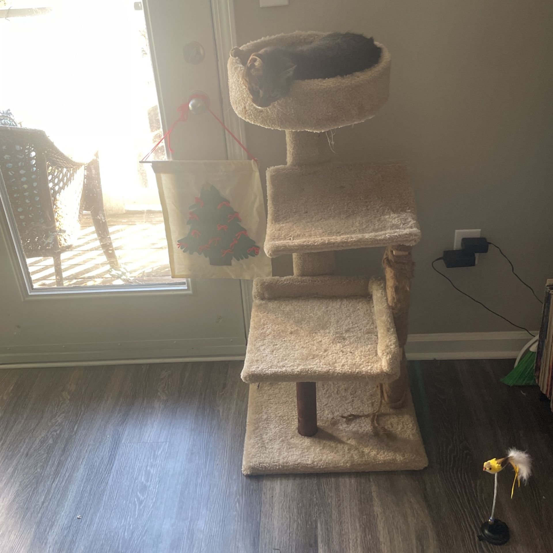 Cat Stand