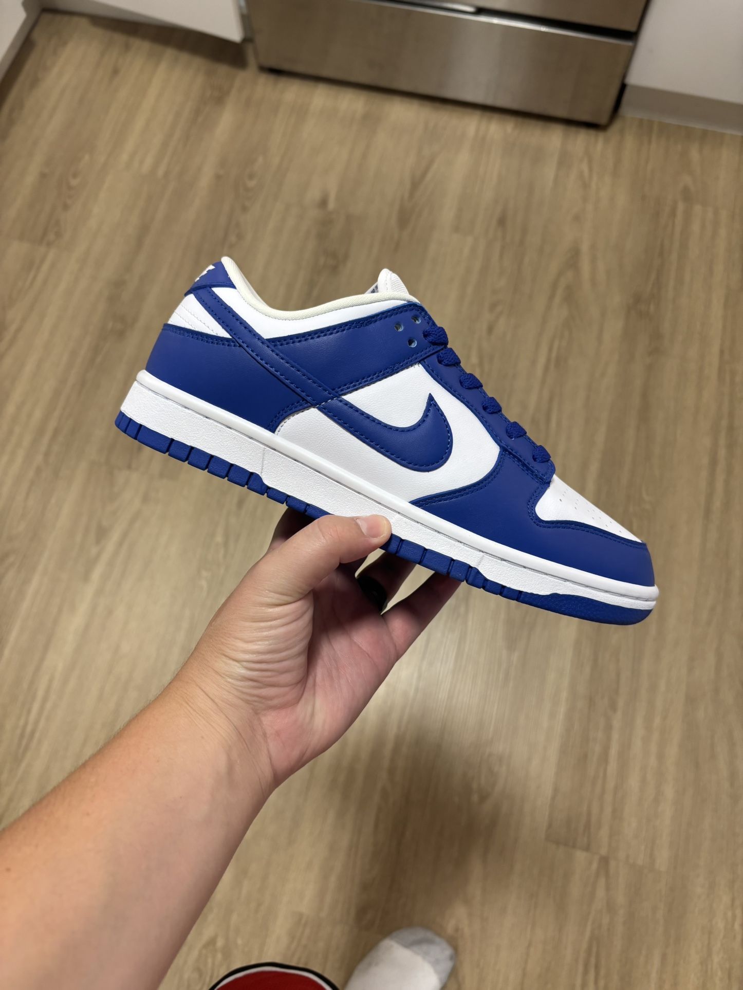 Nike Dunk Low Blue
