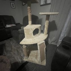 Cat Tower