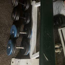 Icarian Bench And Dumbbells 