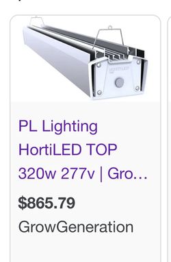 Growing Light HORTILED TOP