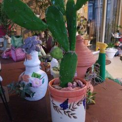 Nopal Cactus in ceramic pot 12" T 