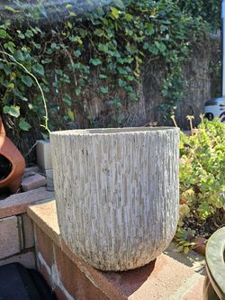Large pot wood grain cement $200 obo