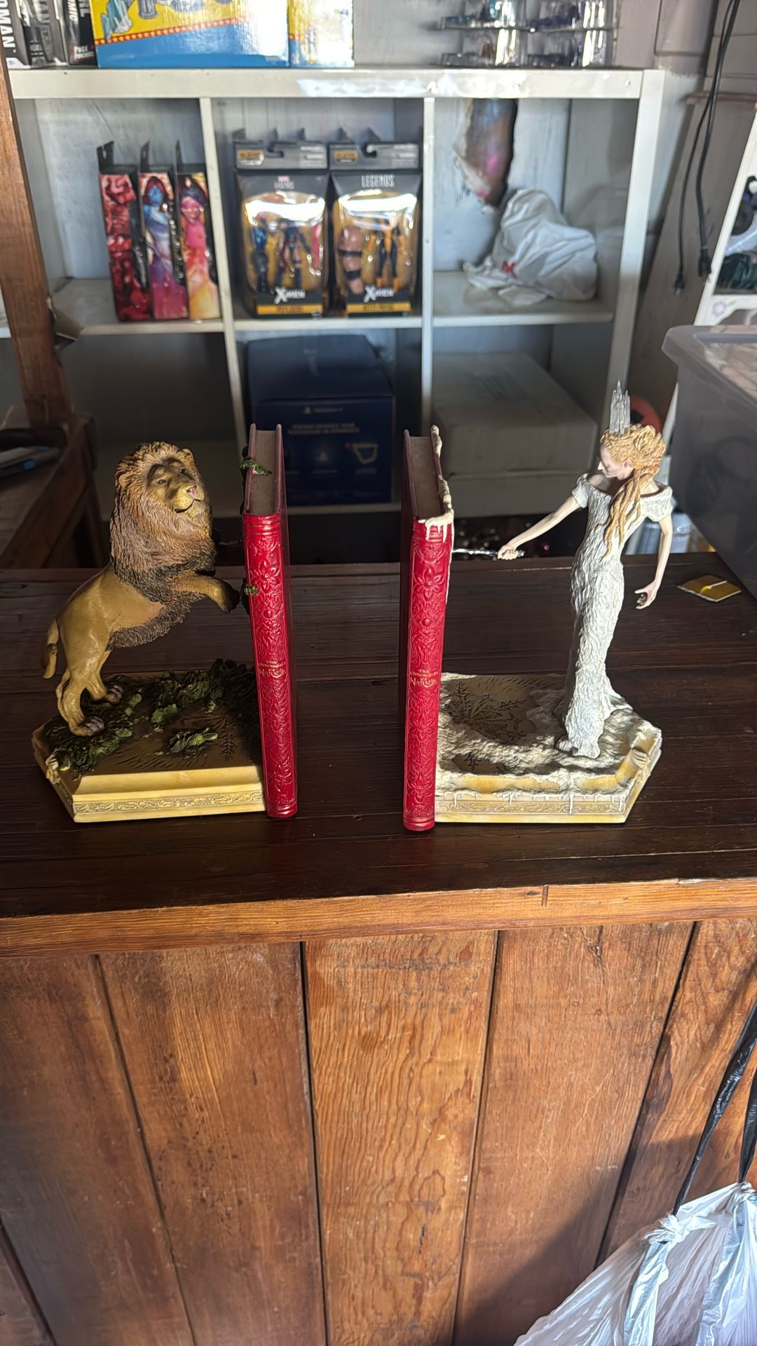 The Lion, The Witch And The Wardrobe Book End