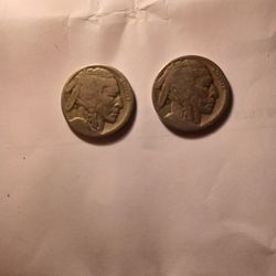 Two Buffalo Nickels For Sale