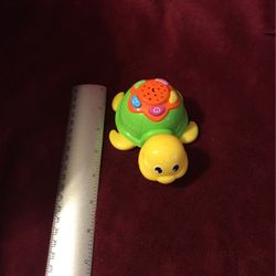 Musical Light Up Turtle 