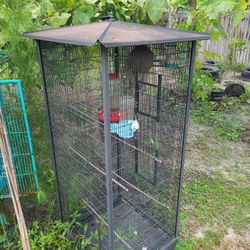 Two Bird Cage 