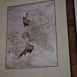 20th Century  Peacocks  