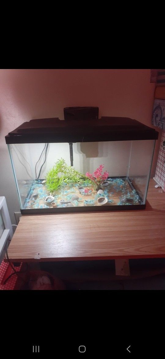 Fish Tank 10 Gallons $40 Dlls.