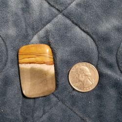 Picture Jasper Pendant