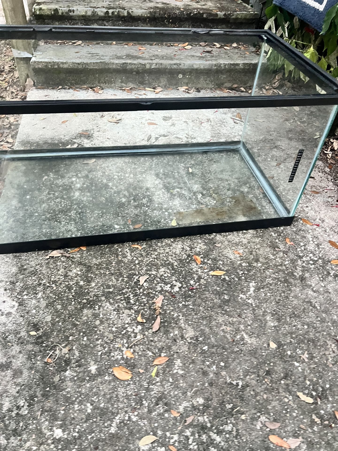 🐟 🐟55 Gallon Fish Tank!!!!🐠 🐠 