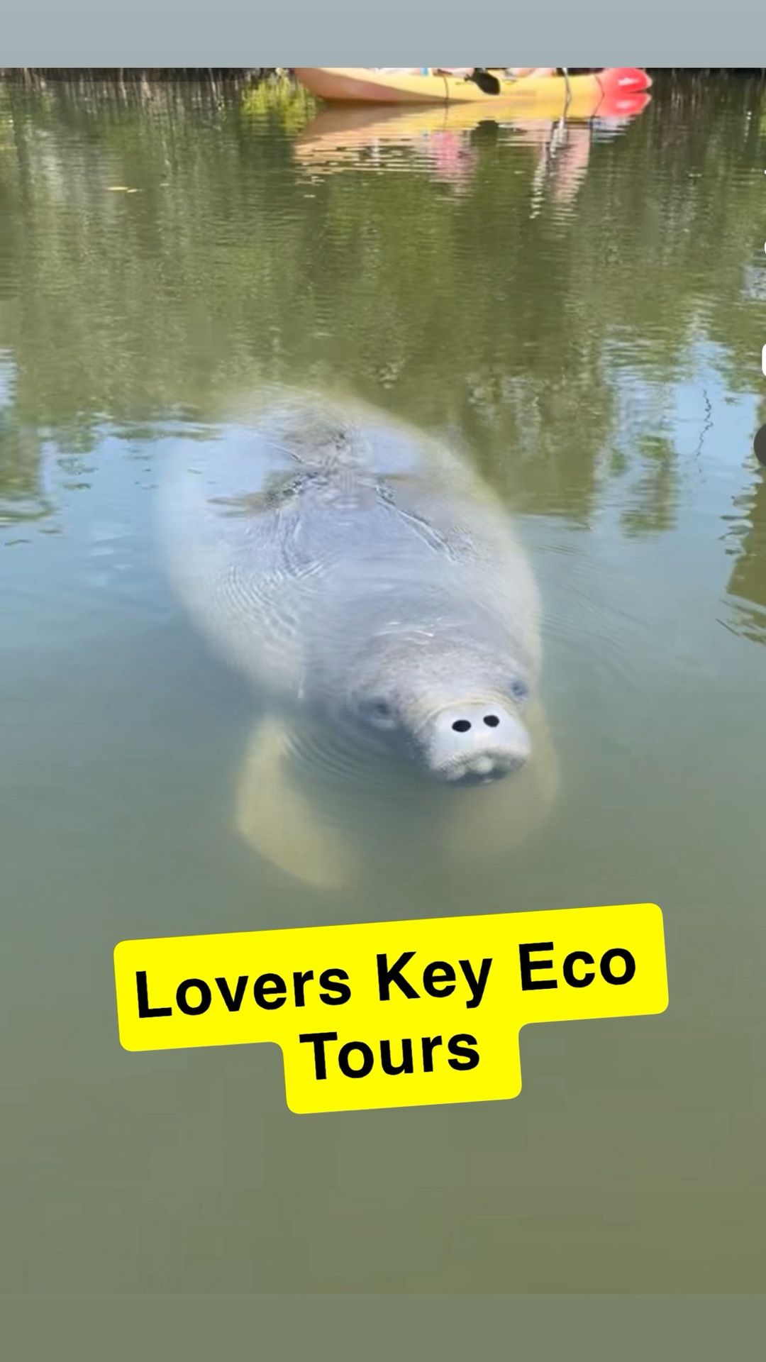 Lovers Key Kayak Tour