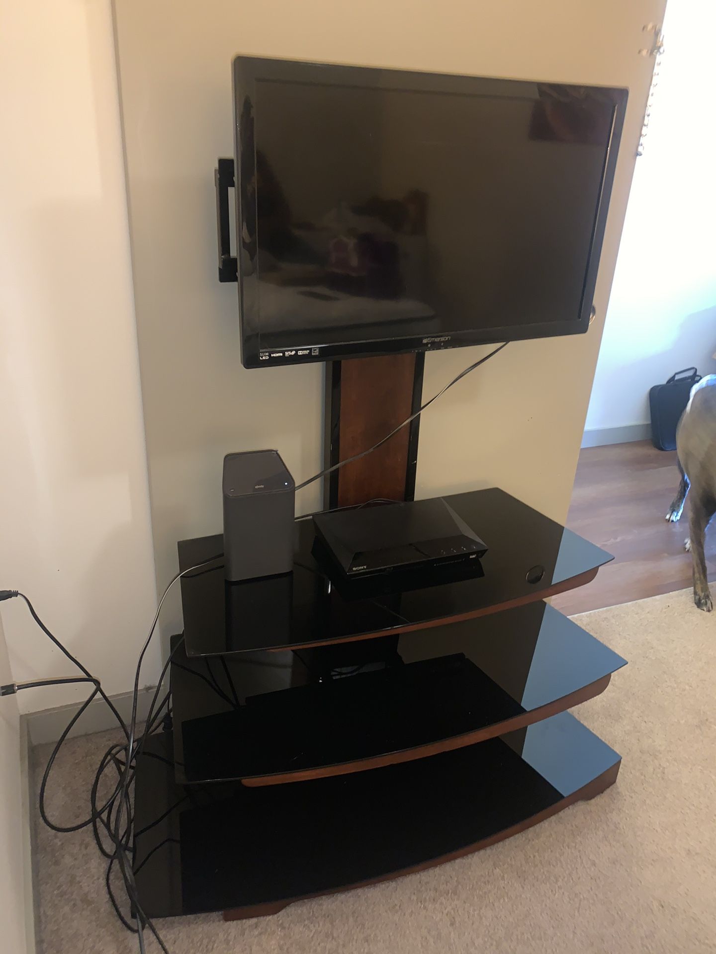 TV Stand with Mount