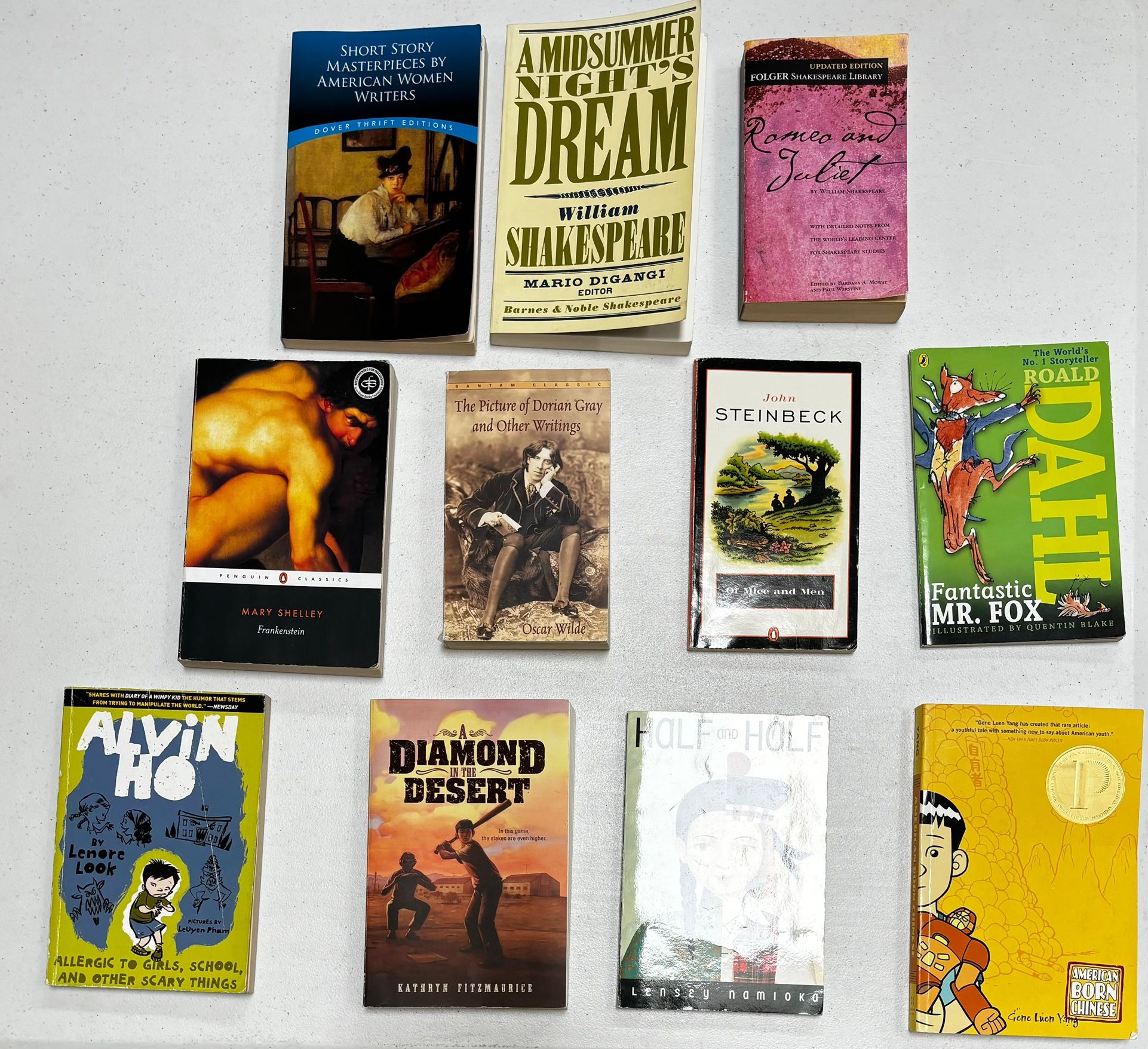 Novels, Story Books