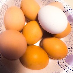 Hatching Eggs