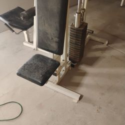 Gym  Exercise 