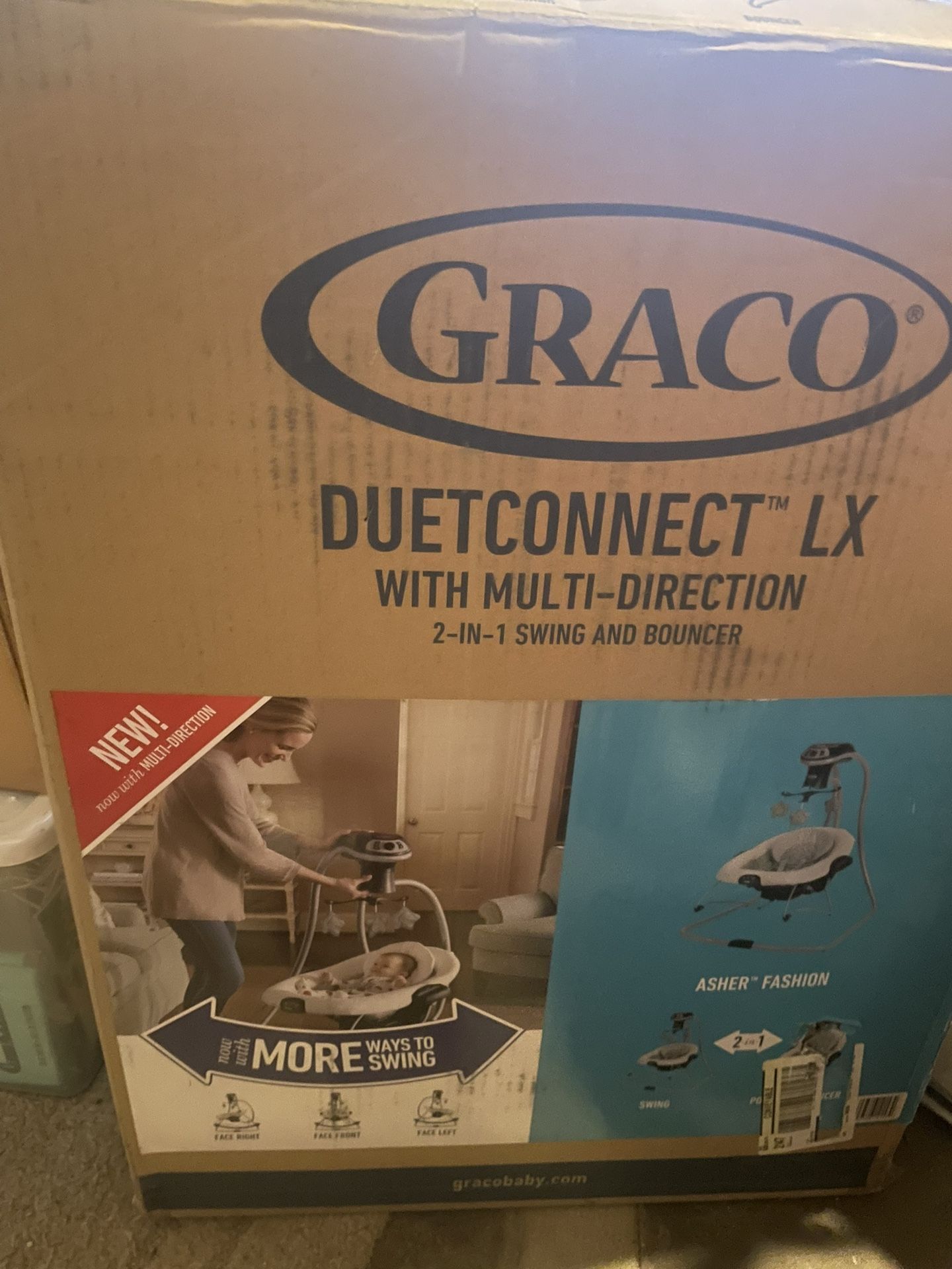 Graco Duet Swing