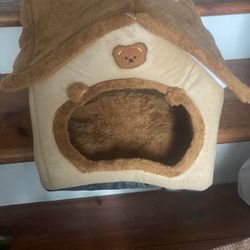 Dog Items