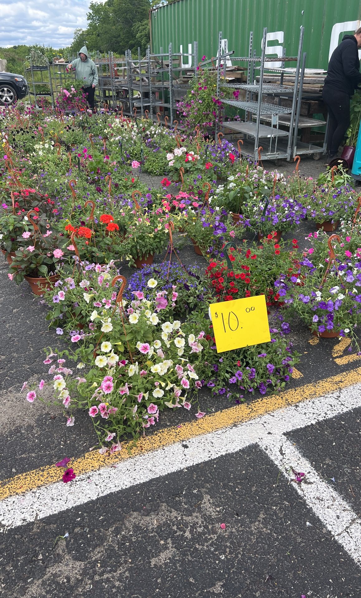 Plant Sale At Berlin Farmers Market