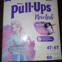 Girls Pull Ups 4t 5T 60 Count