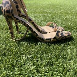 Women’s Cheetah Print Heels Size 9