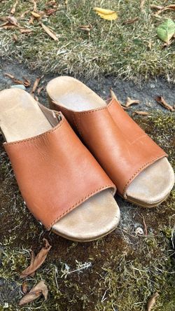 Dansko slides