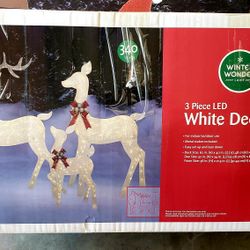 Light Up Reindeer Set