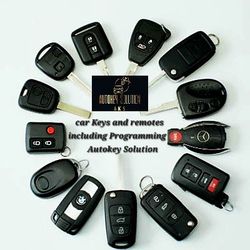 Car Keys and Key Fob 