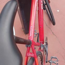 Fuji Absolute
