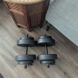 Pair Of 20lb Dumbbells 
