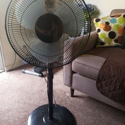 Fan