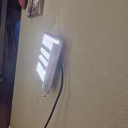 Bloom Plus Grow Light Working White 12x12